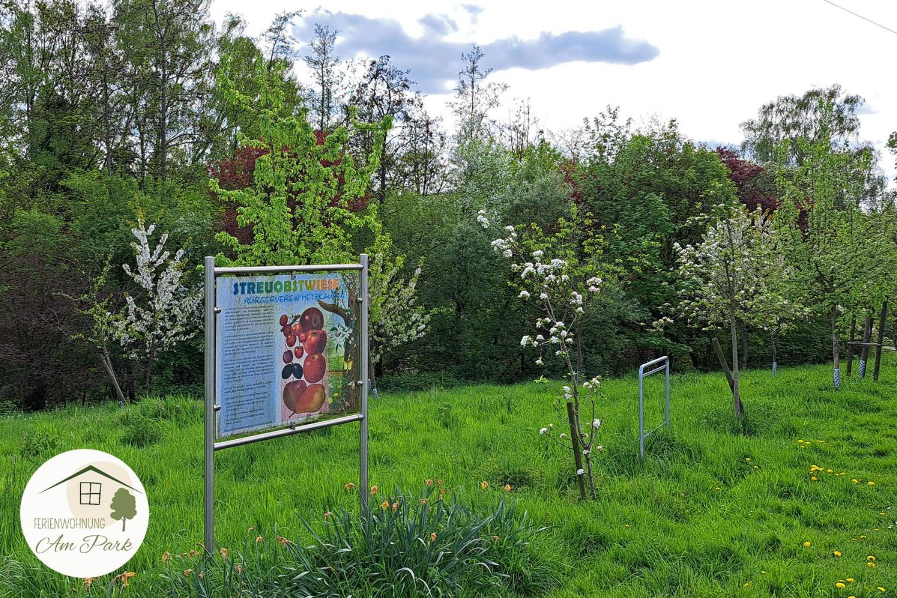 Grosszuegige Wohnung Am Comberg-Park Mettmann Exterior foto